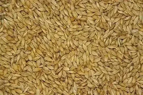 S921 - Paloma Paddy rijst 20KG