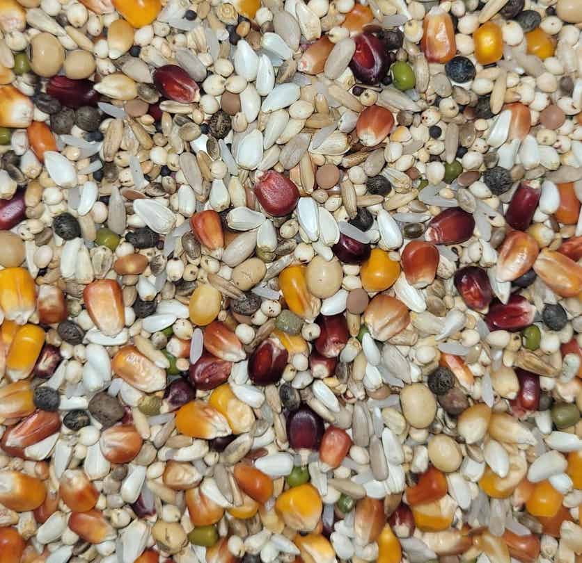 D111 - Diamond RR Royal 20KG+2KG Gratis