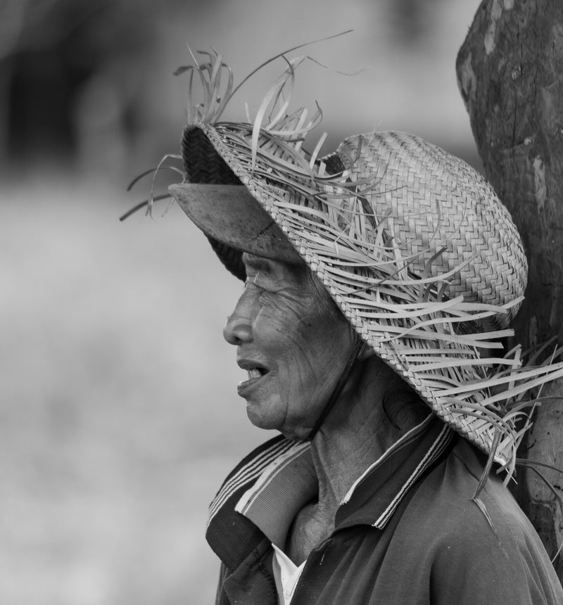 Rice field Woman