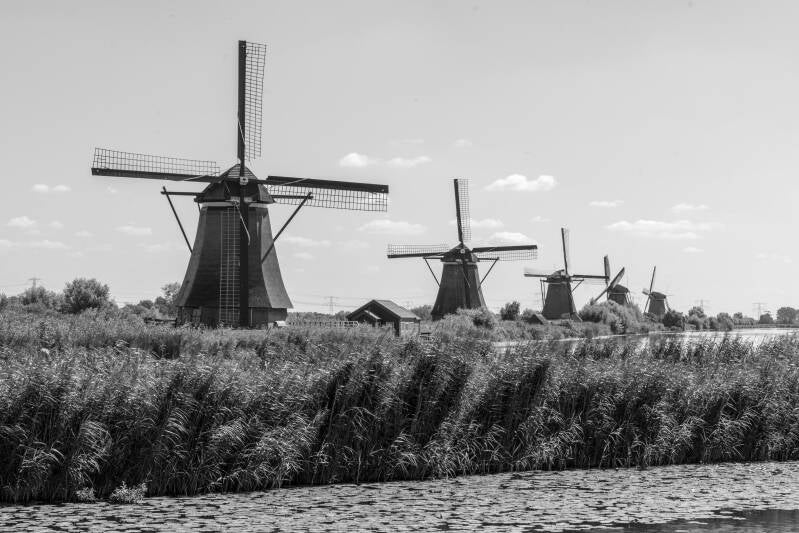 Kinderdijk Balck and White 2