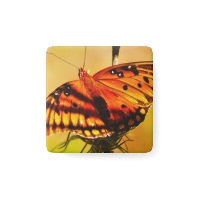 Magnet, Square