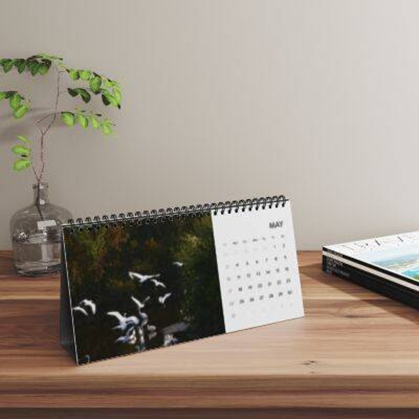 Desktop Calendar 2026 Birds