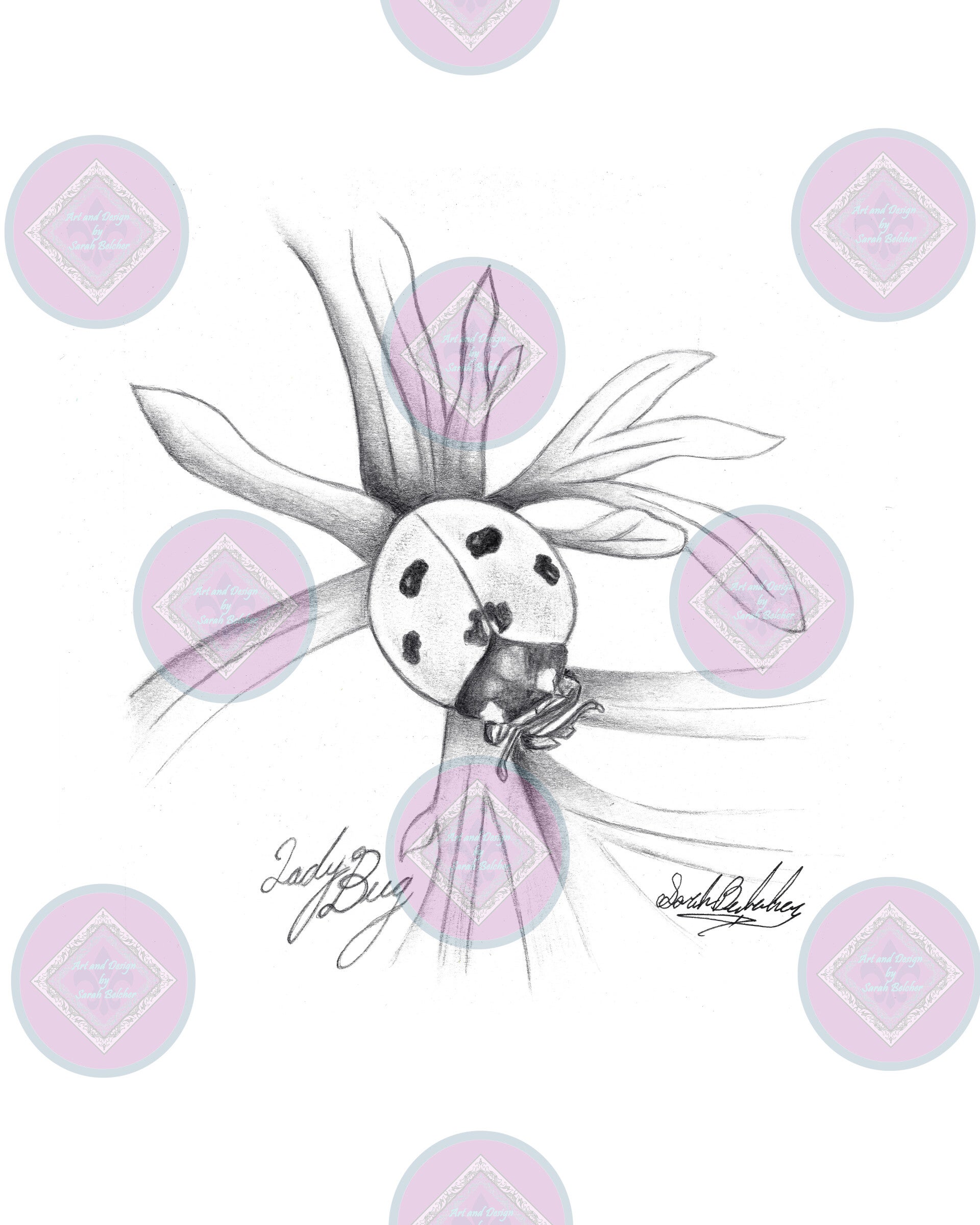 ladybug (Black and White pencil)