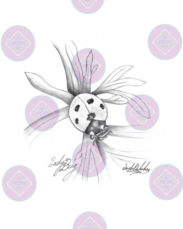 ladybug (Black and White pencil)