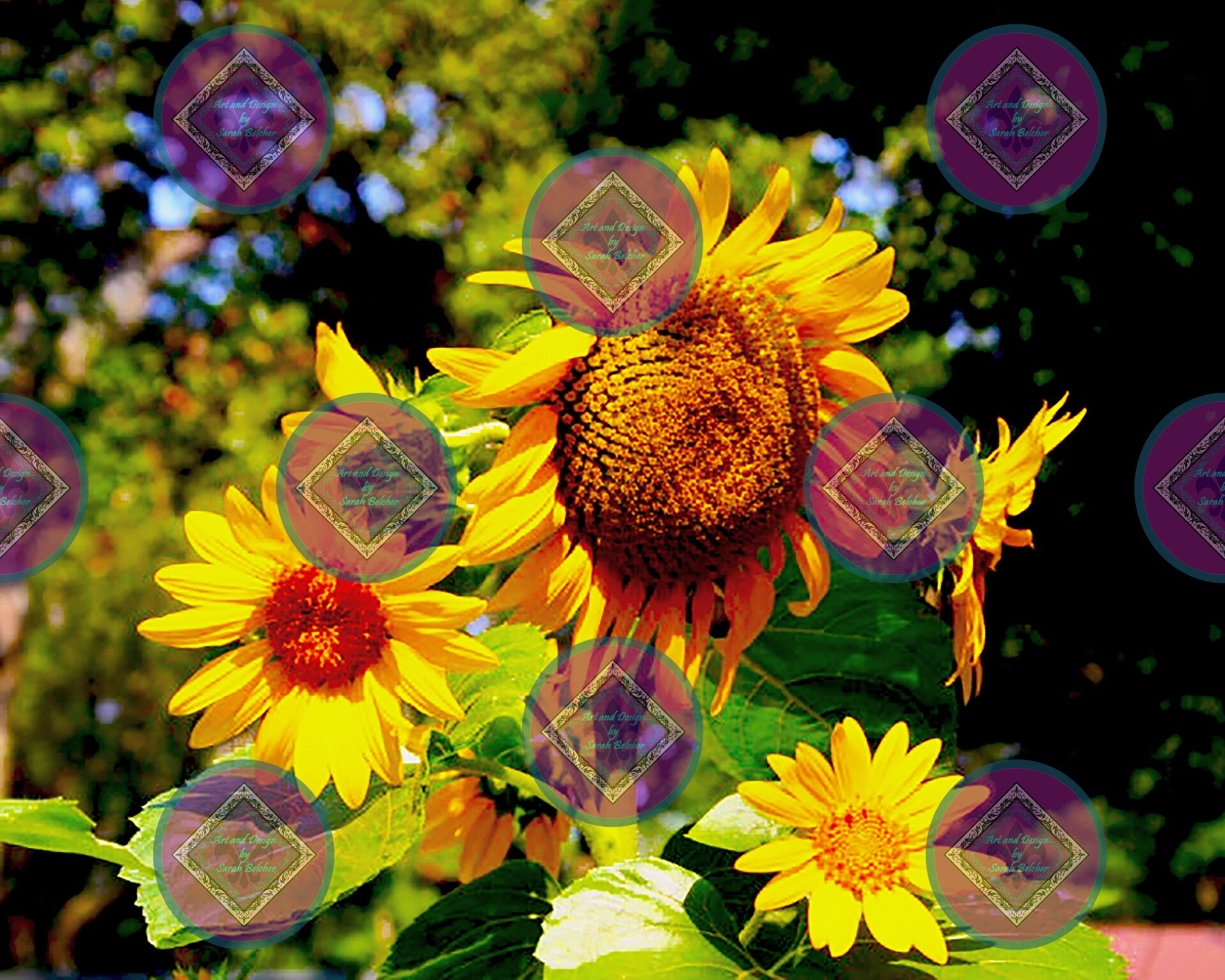 "Sunflower Family" (Sun, Yellow, Flowers)