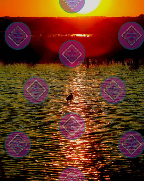 "Sunset in the reeds" (print of photograph, sunset, water, reads yellows, black, orange, duck)