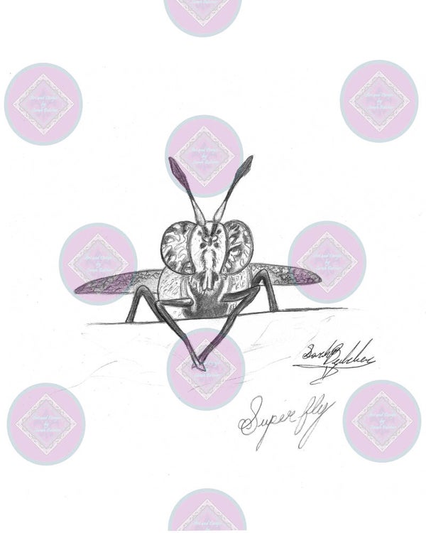 Fly (Black and White Pencil)