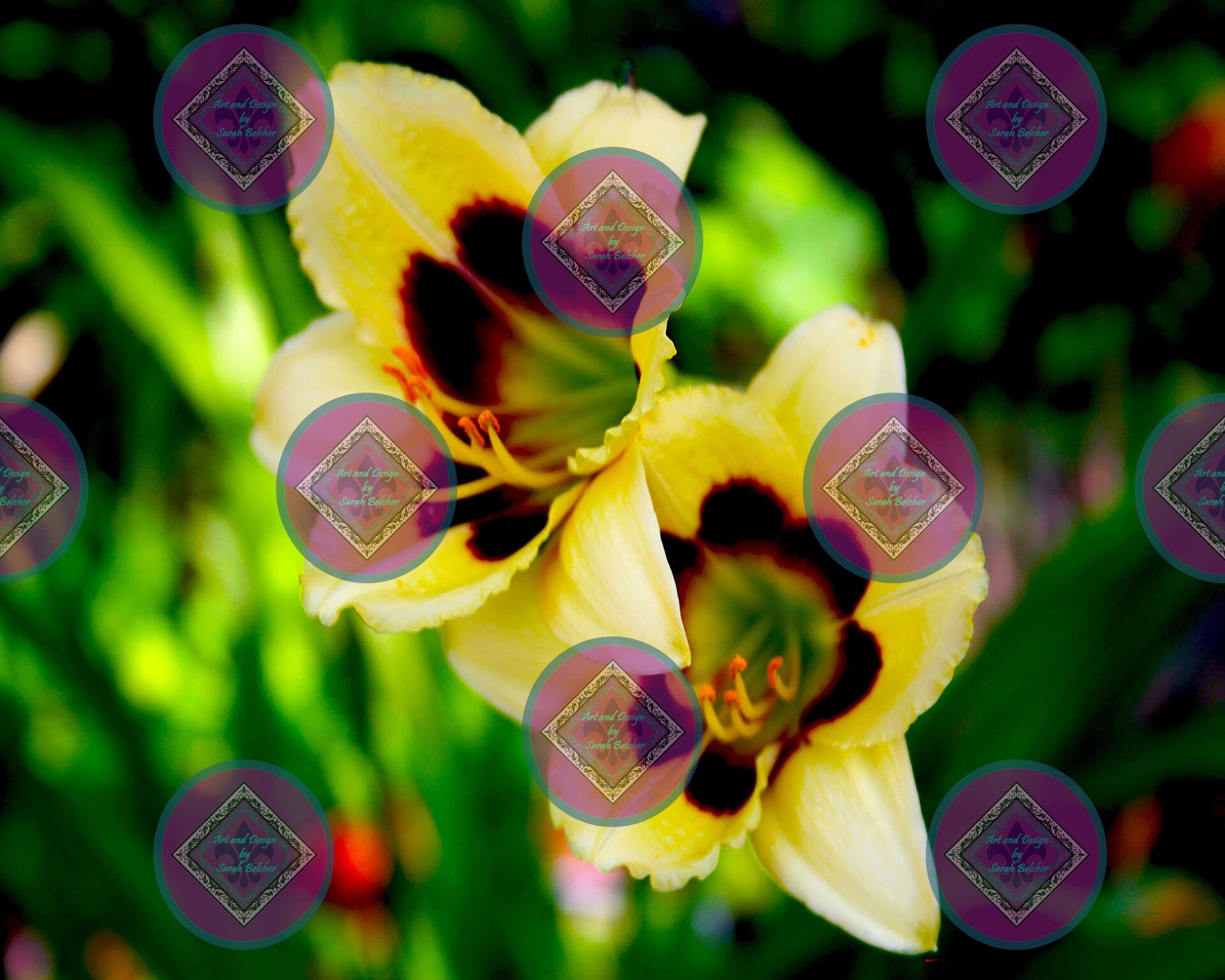 "Daylily" (Yellow, Red, Flowers, Green, Black)