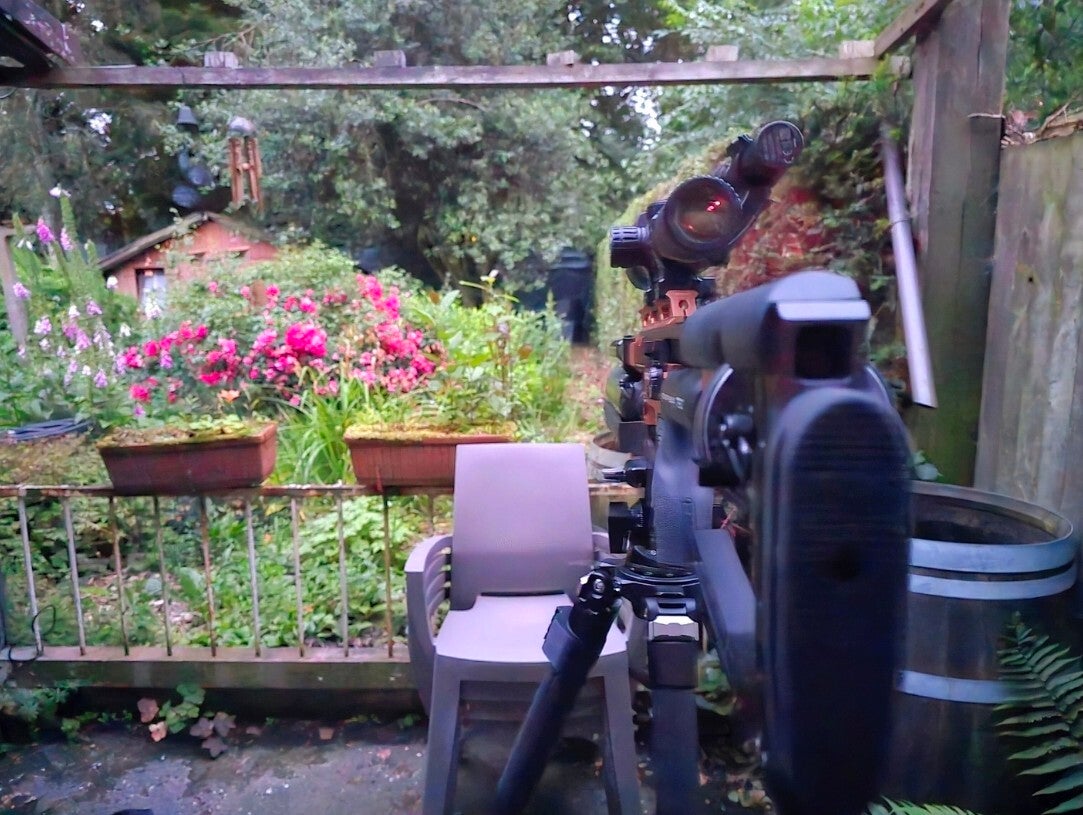 Rattenschieten in een tuin