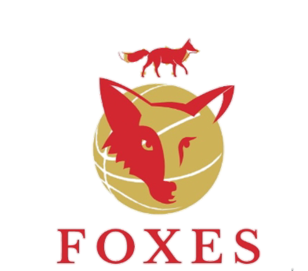 ABL El Peso Foxes Minority Owners Investment
