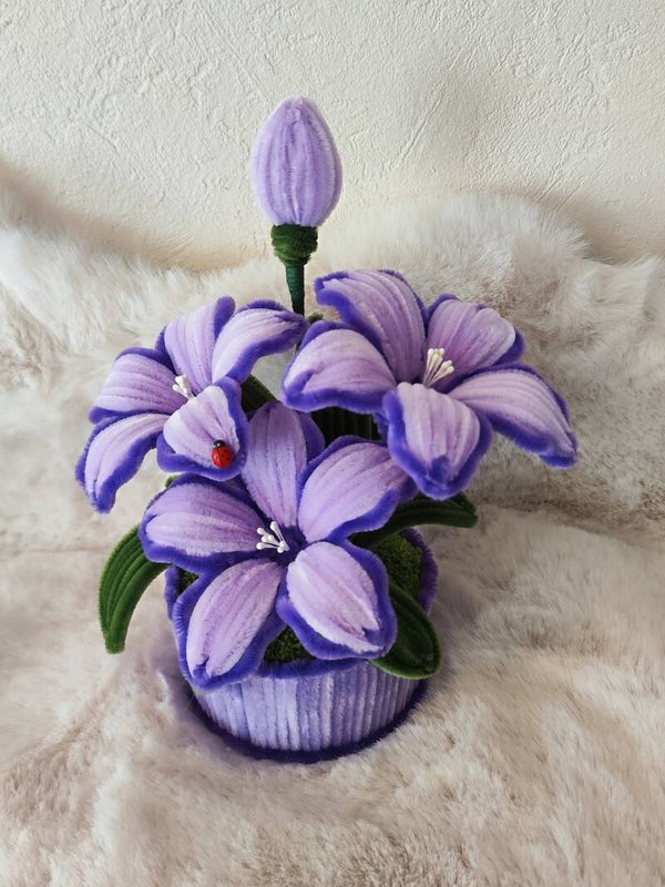 Petit Jardin Fleuri 🐞