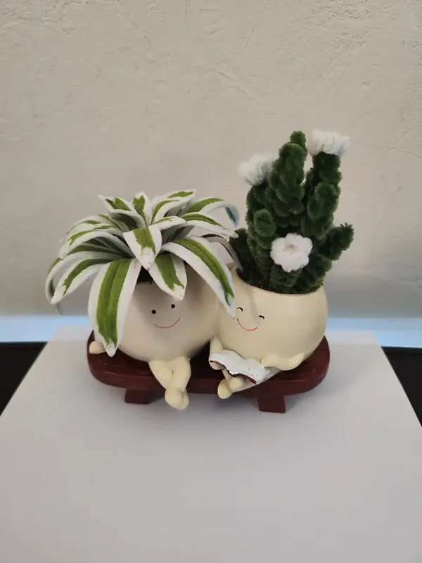🌿 Les Copains du Jardin 🌵
