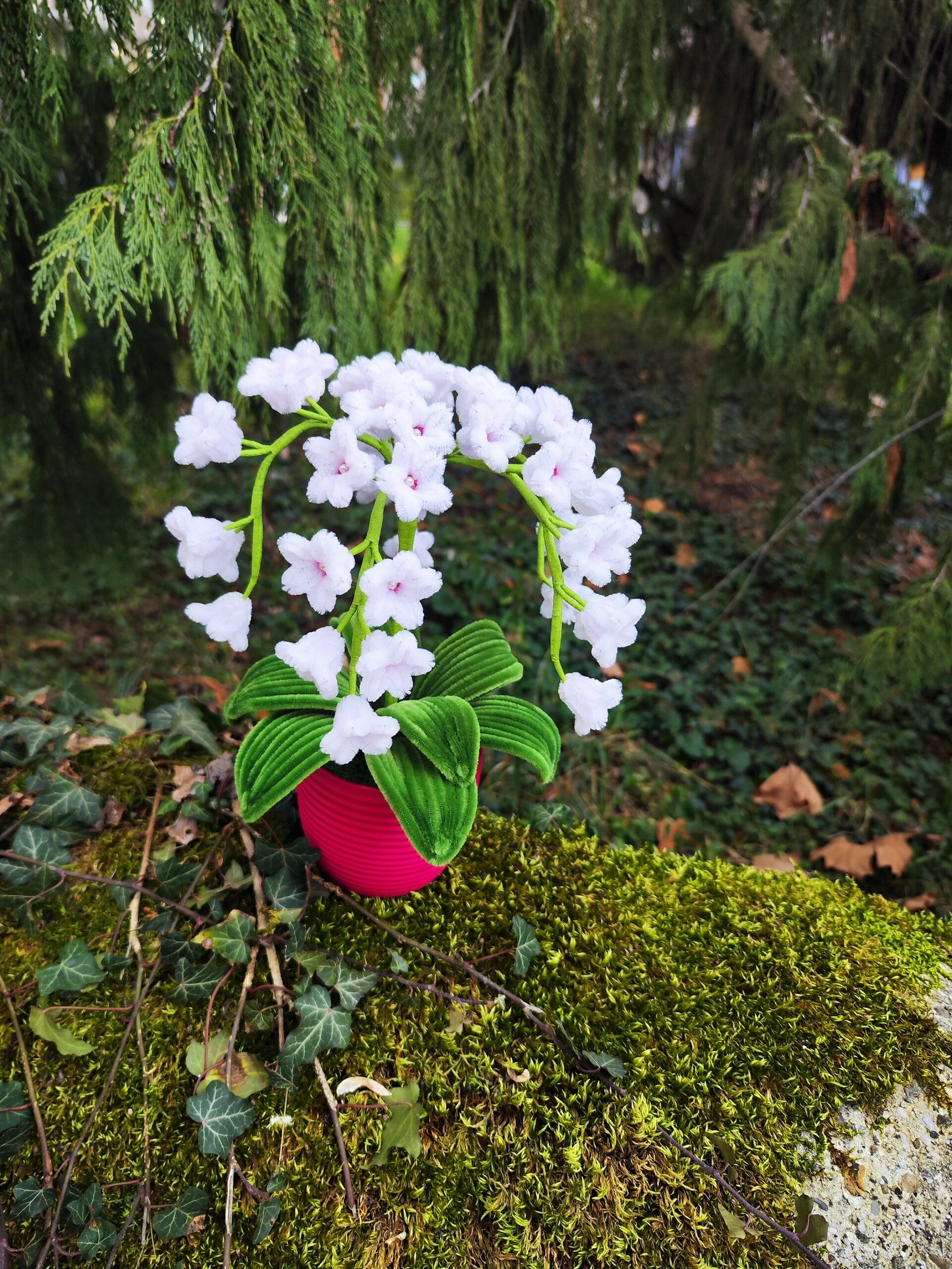 Pot fleurs tombantes