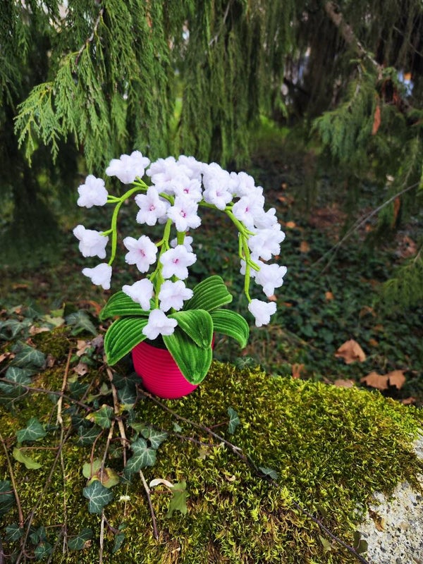 Pot fleurs tombantes