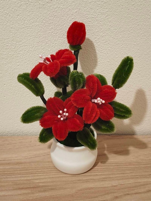 Jolie Floraison