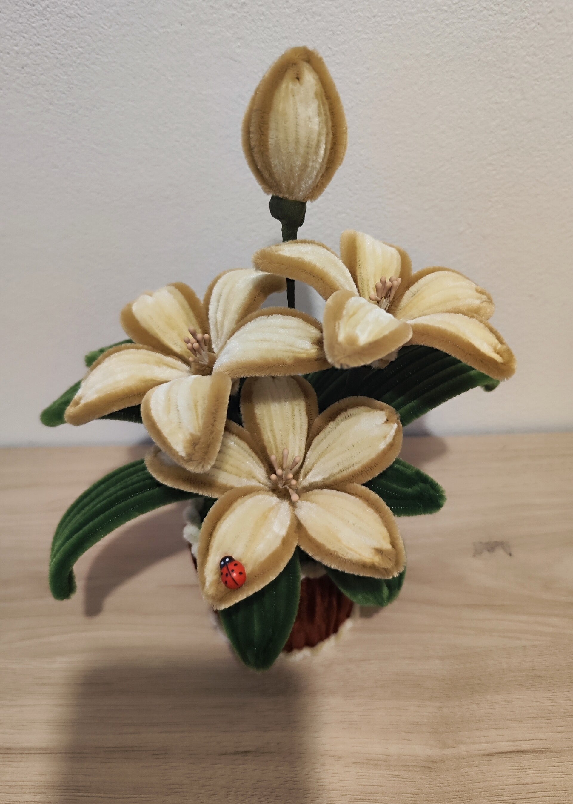 Petit Modèle Marron et Beige