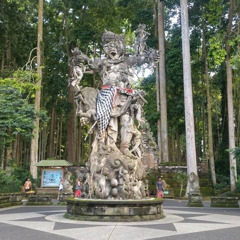sangehmonkeyforest04.jpg