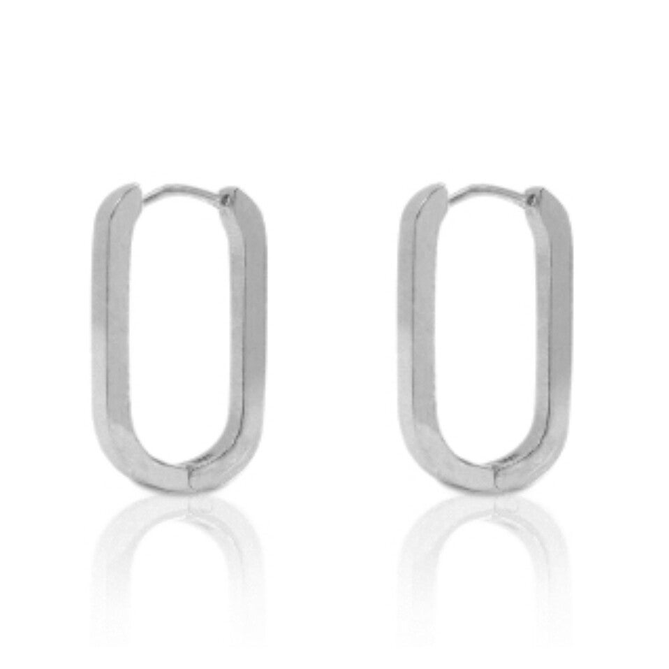 Zilveren brede ovale RVS creolen