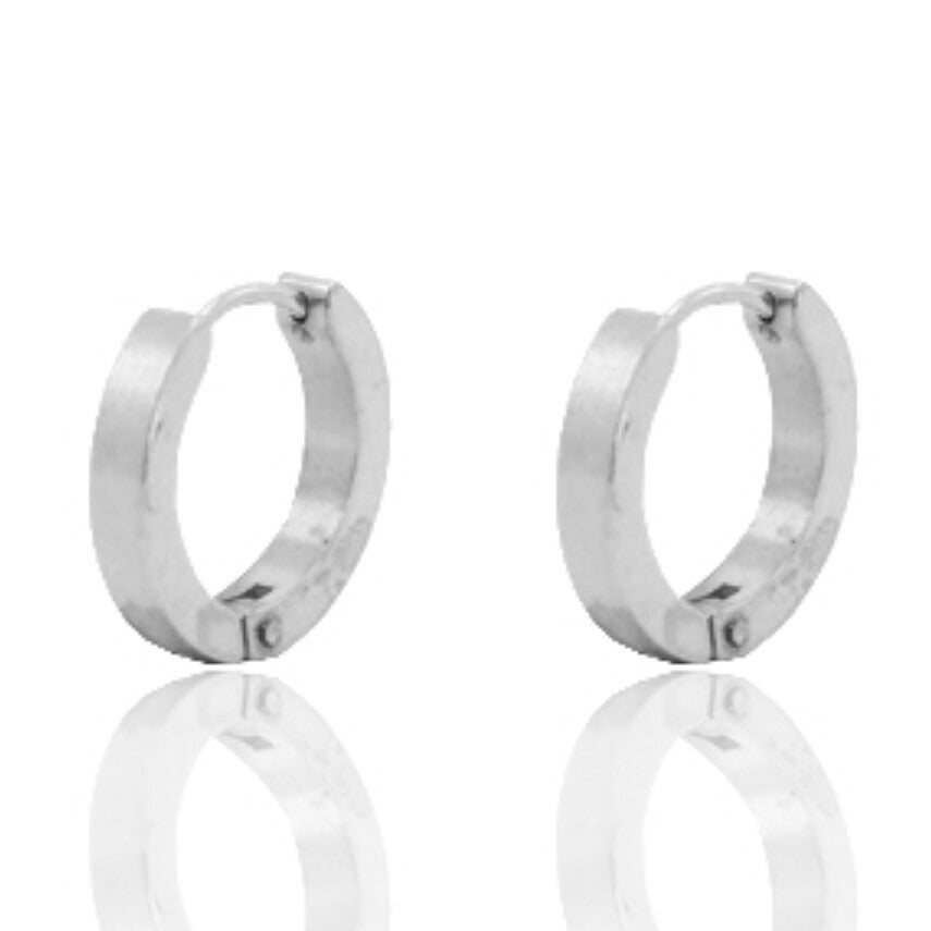 Zilveren brede ronde RVS creolen