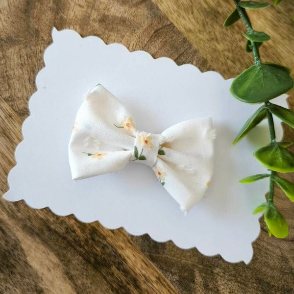 Petites pâquerettes