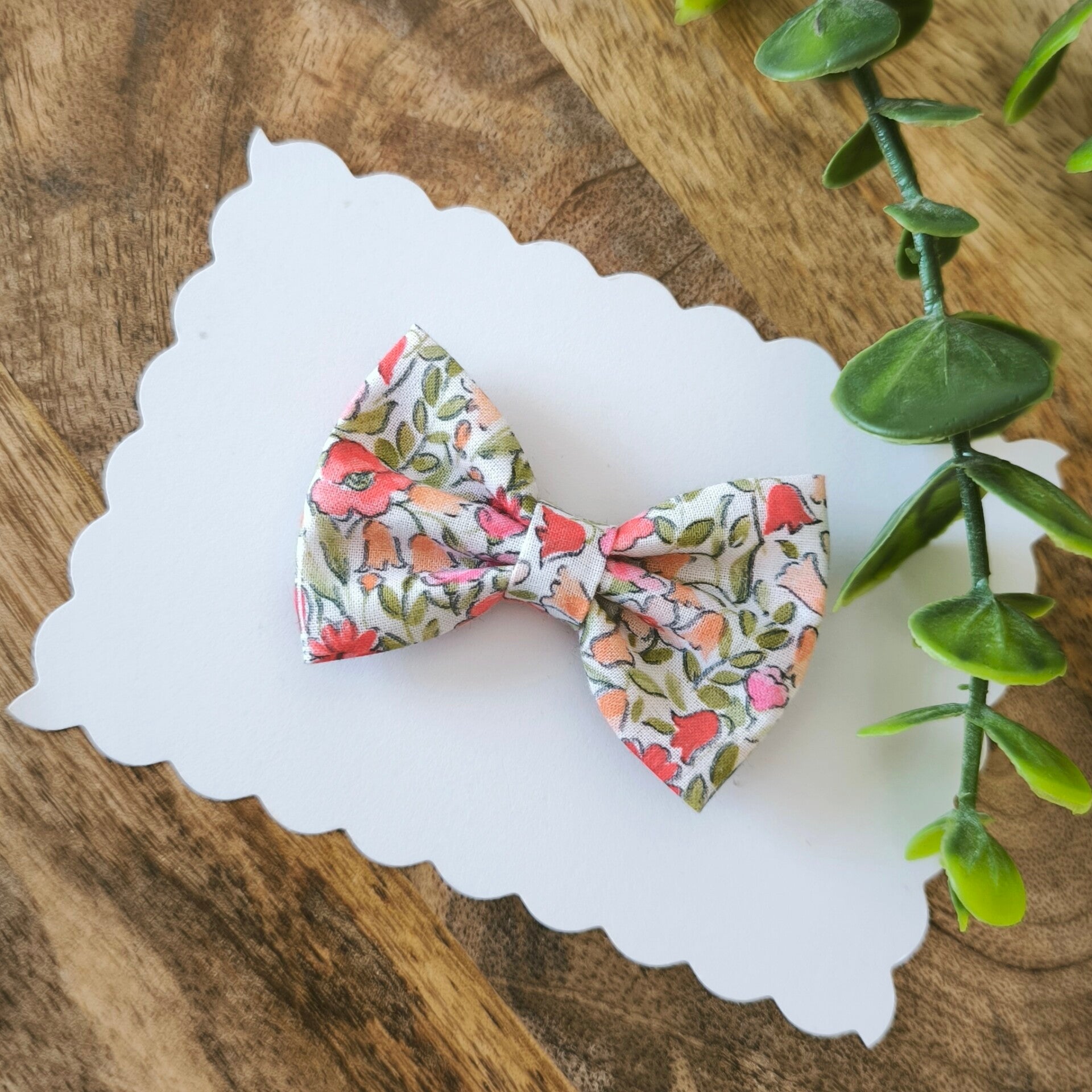 Coquelicot des champs