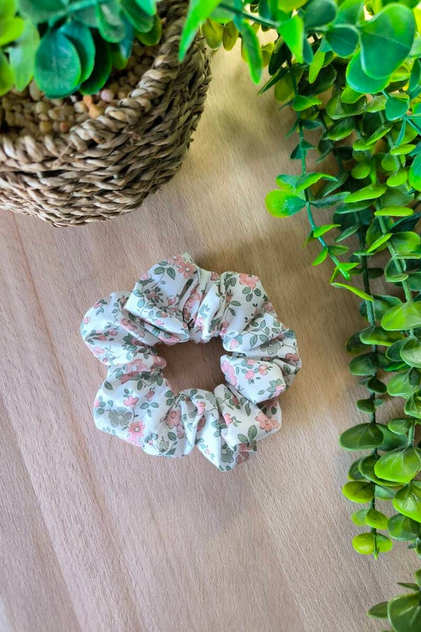 Chouchou sauge et barbapapa