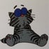 Hilltop Cattery