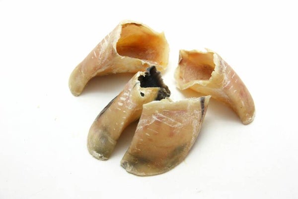 Kalfshoefjes per 10 stuks