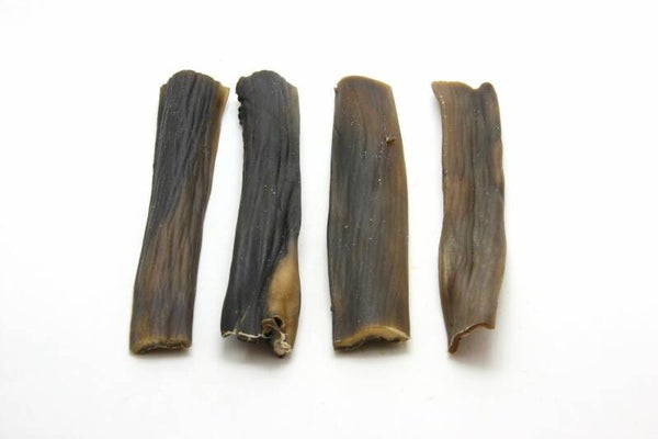 kophuid kameel 15 cm