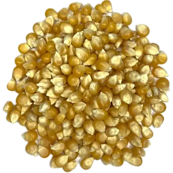 50 porties popcorn