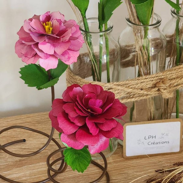 Duo de Roses sur pied