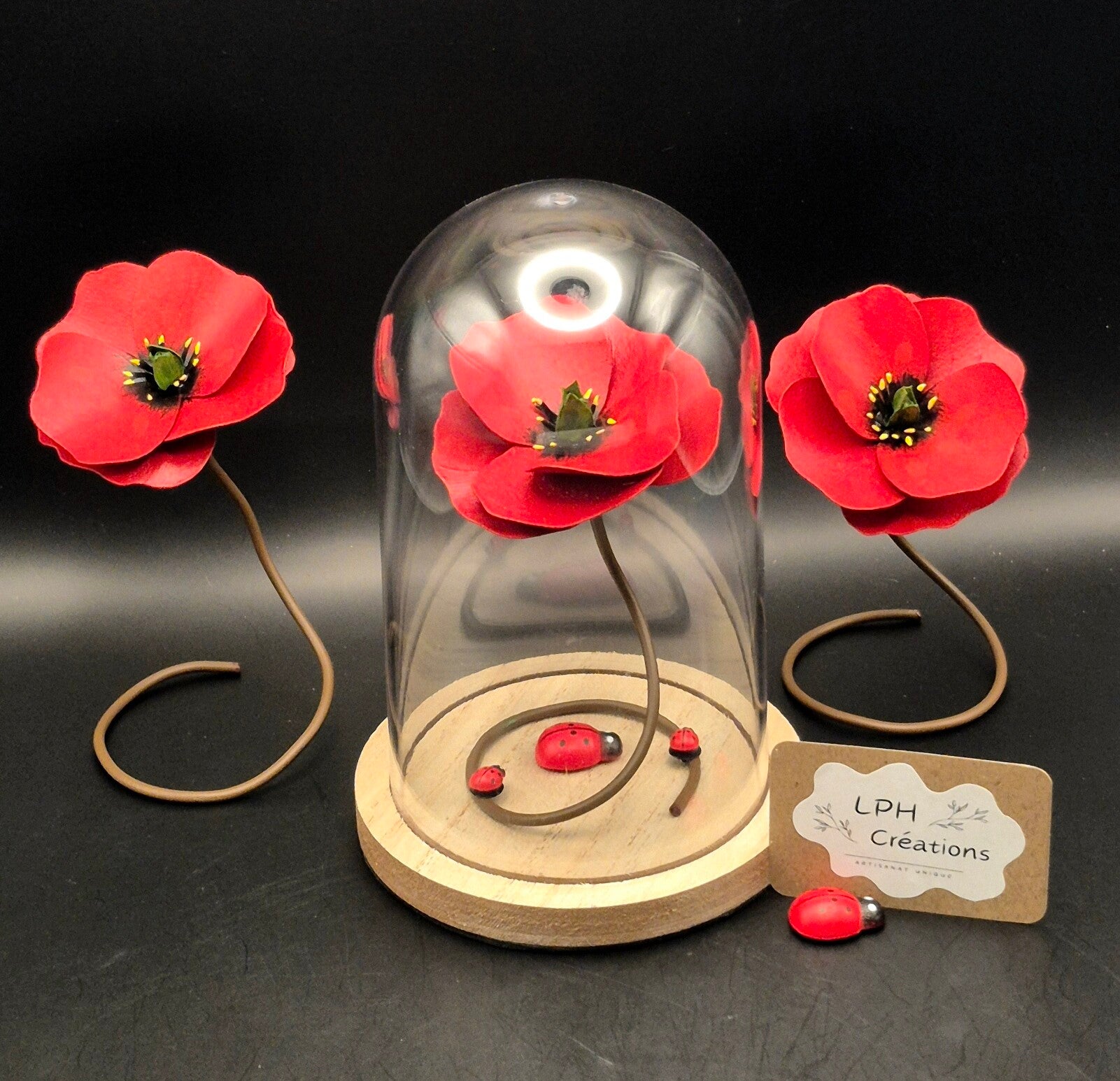 Poppy sous cloche