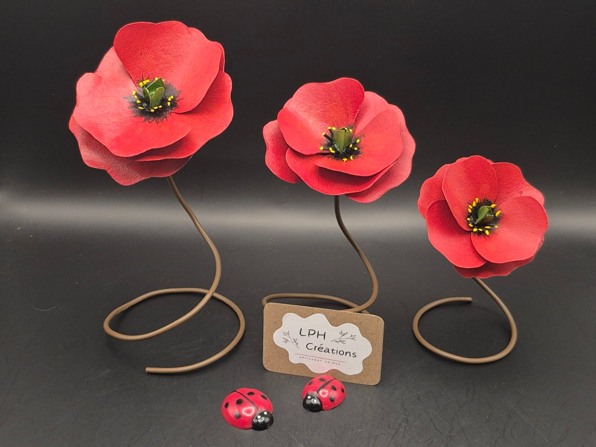 Trio de Coquelicots sur pied