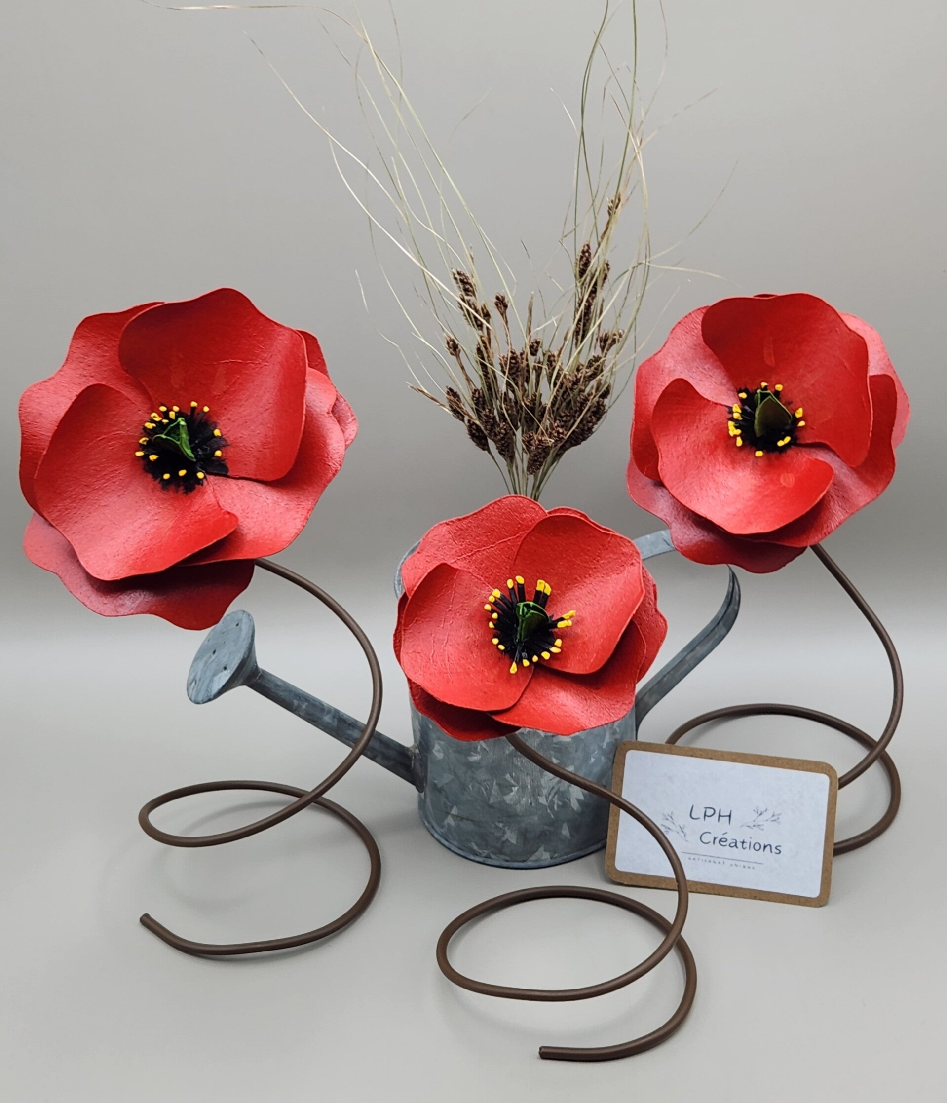 Trio de Coquelicots sur pied