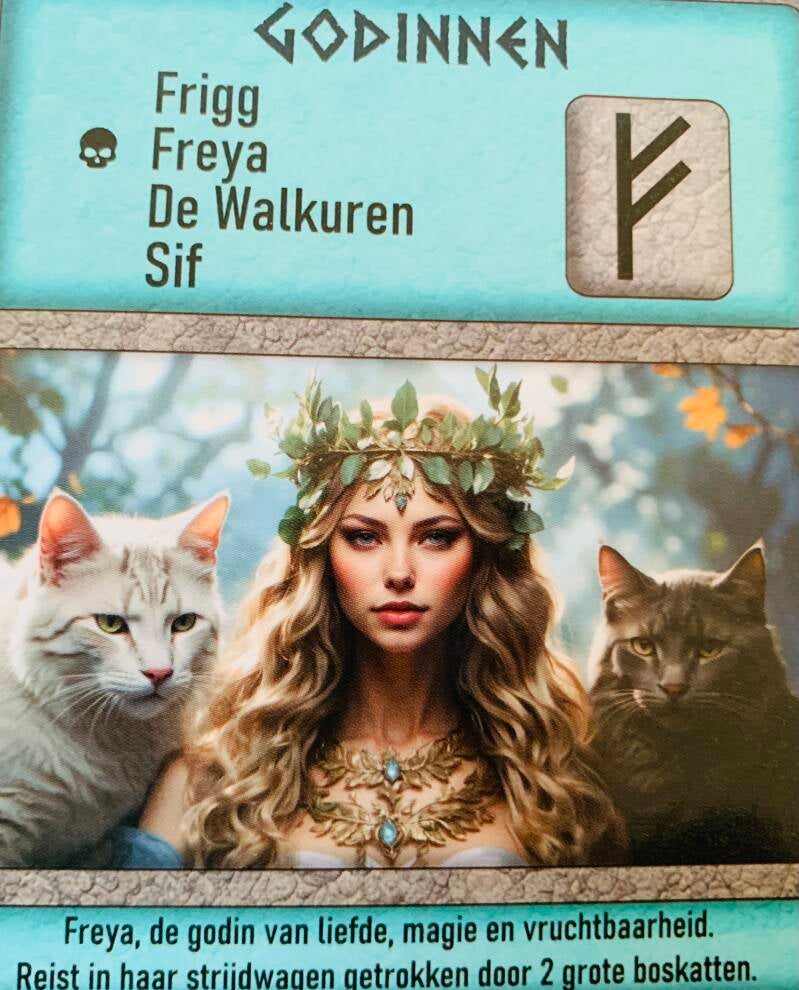 Helheim Groepskaart Godinnen