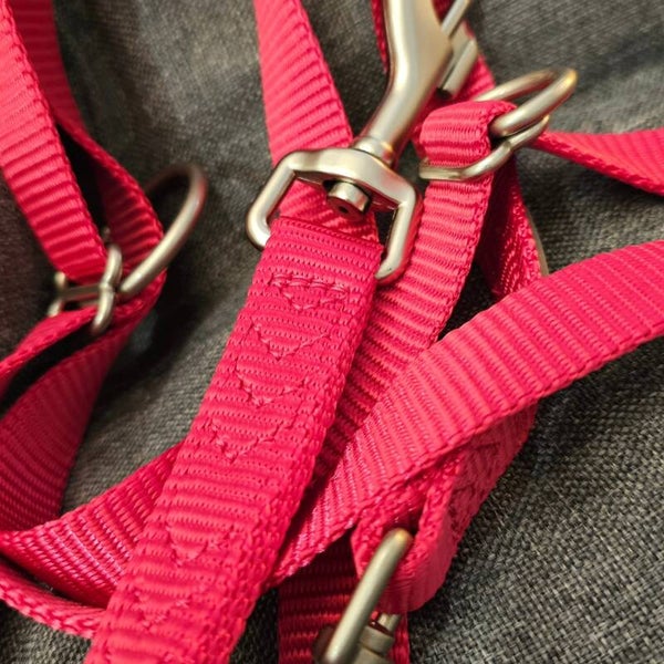 Guinzaglio addestramento fucsia mt 2