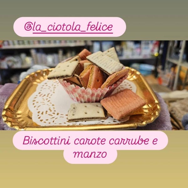 fette biscottate di carubbe carote e manzo in deliziose confezioni regalo