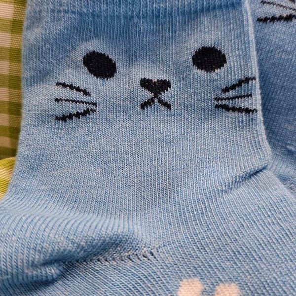 Calzini Gatto azzurro