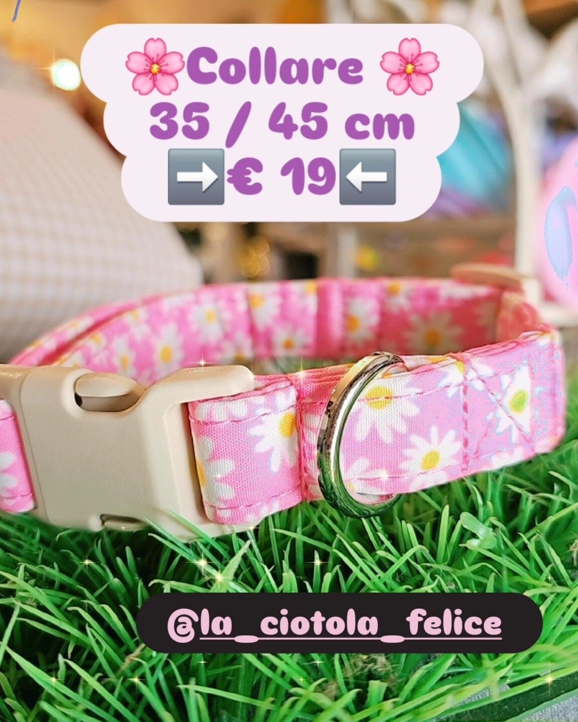 Delizioso collare 35cm / 45 cm