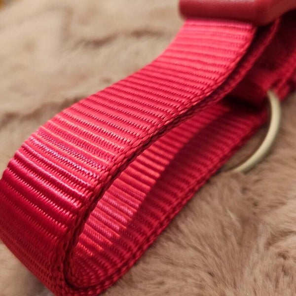 Collare Fucsia  tg L xL