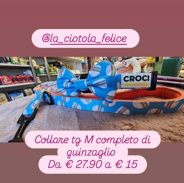 Collare e guinzaglio outlet Euro 15.00