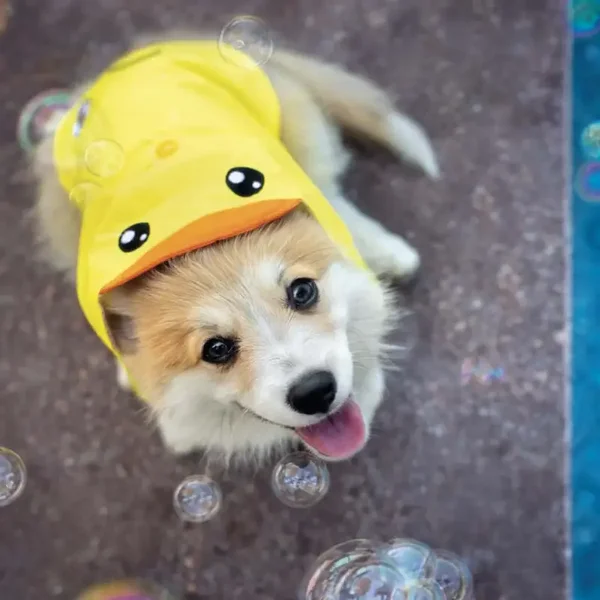 impermeabile croci anatroccolo tg 45