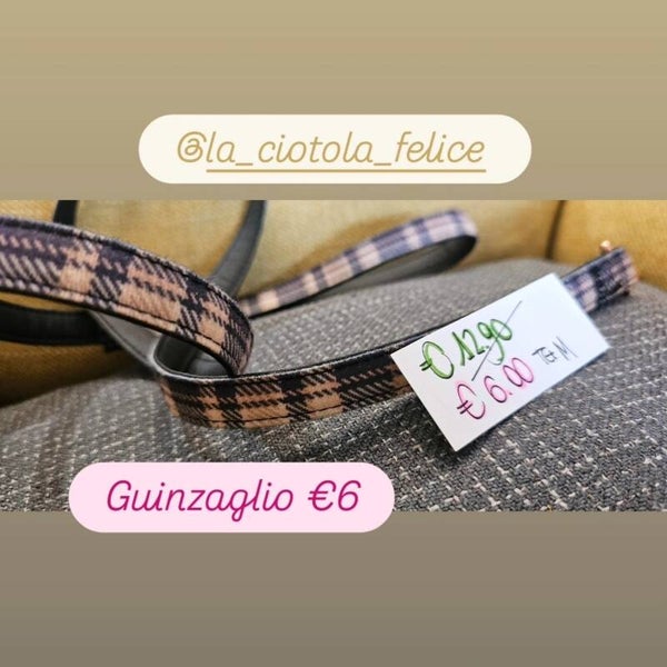 last minute guinzaglio delizioso