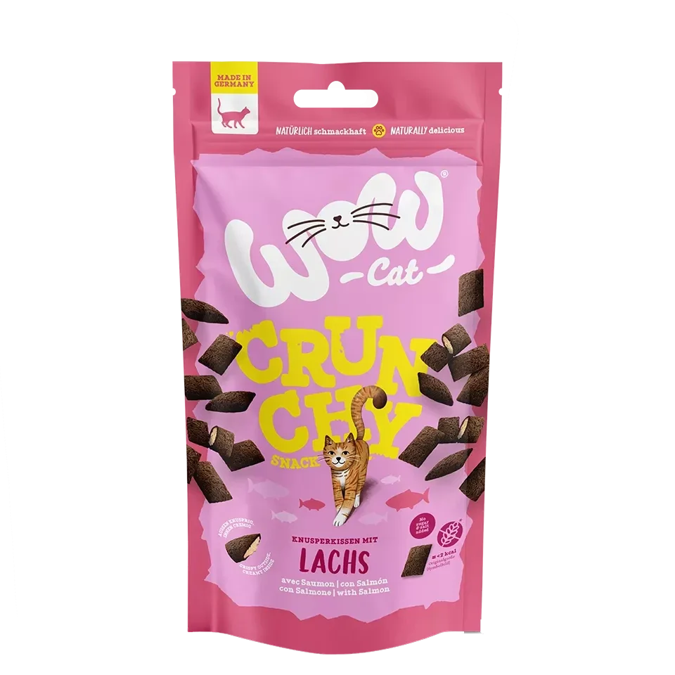 Snack premium per gatti Crunchy Snack con salmone Snack croccanti con ripieno cremoso