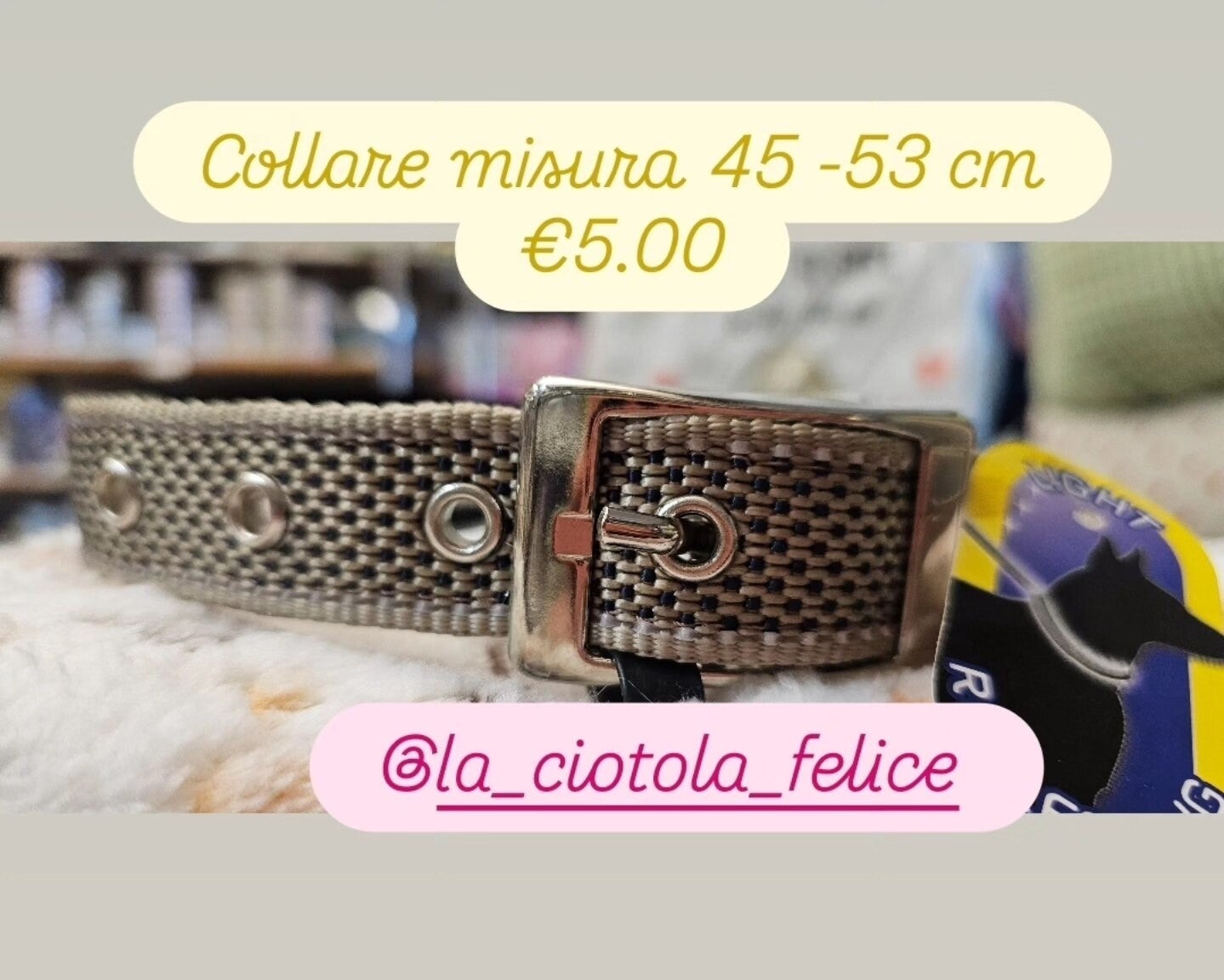 Collare Ferplast last minute misura 45-53 cm