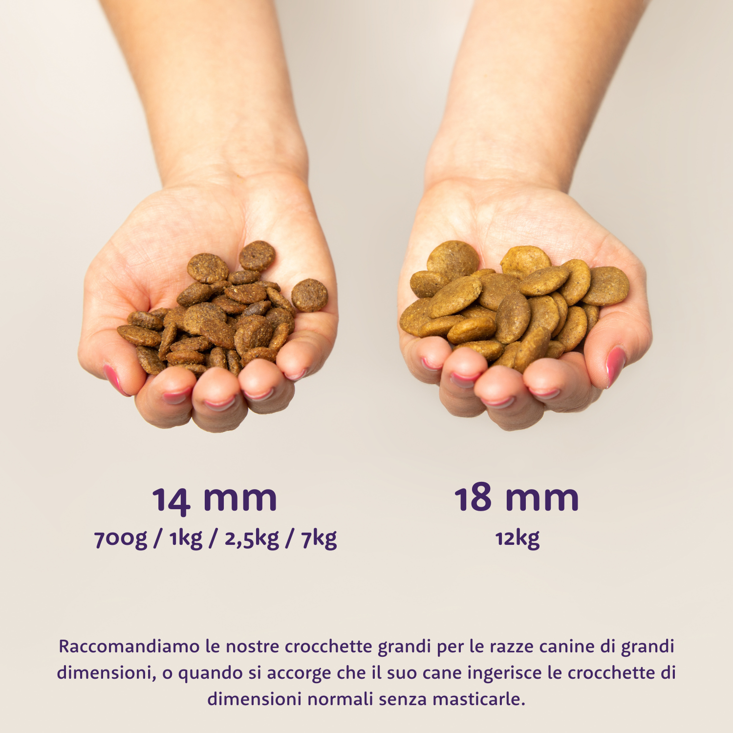 Carne fresca di pollo allevato a terra Edgard cooper 2,5 kg