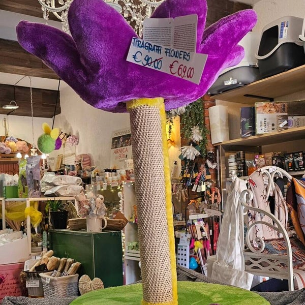 Tiragraffi Flowers viola last minute