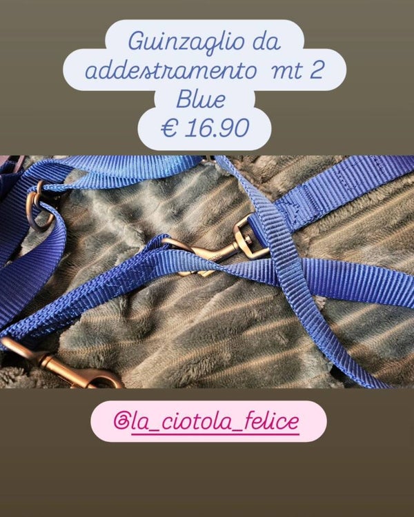 Guinzaglio addestramento blue mt 2