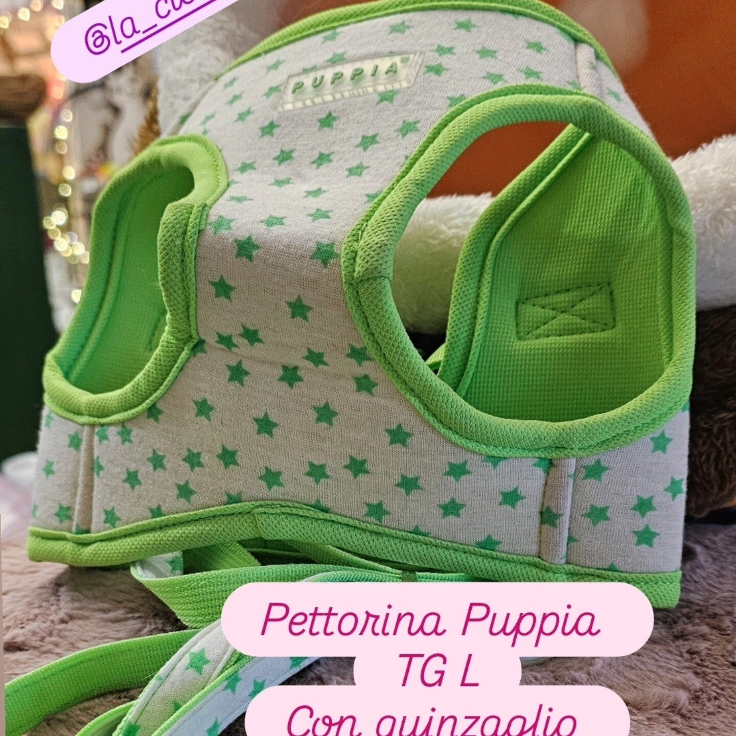 Pettorina Puppia con  Guinzaglio Outlet