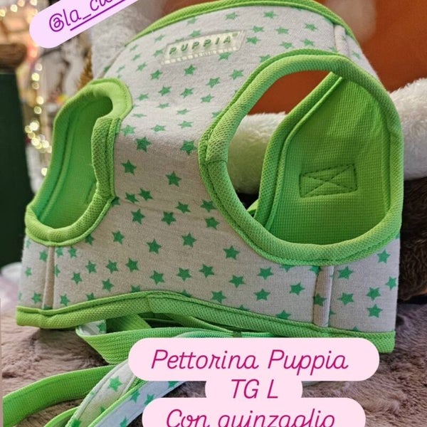Pettorina Puppia con  Guinzaglio Outlet